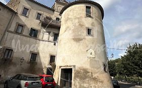 La Torre UnaNotteaCasaMia